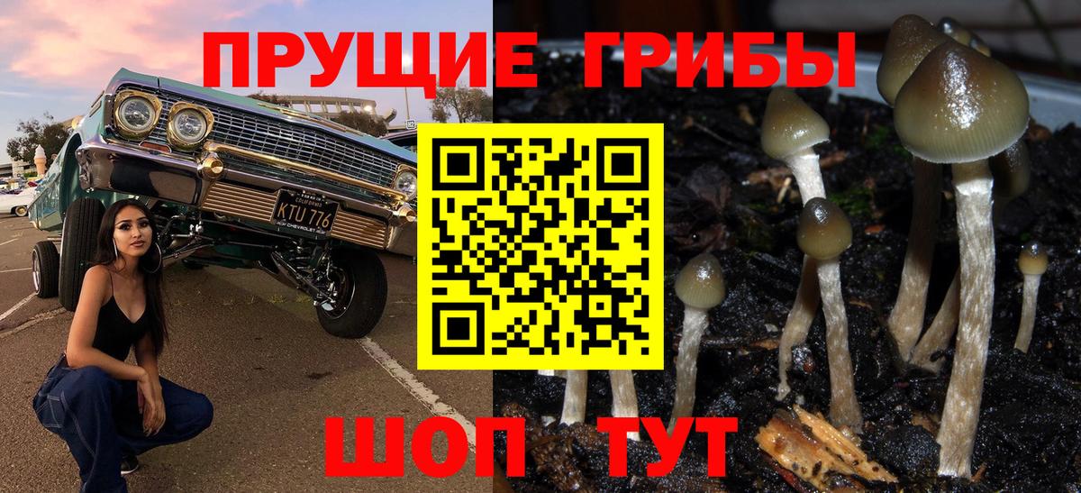 Галлюциногенные грибы Psilocybine cubensis  Вход с VPN  где купить   Кыштым 